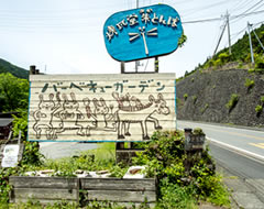 街道沿い看板 入口