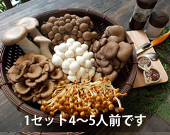 きのこホイル焼きセット